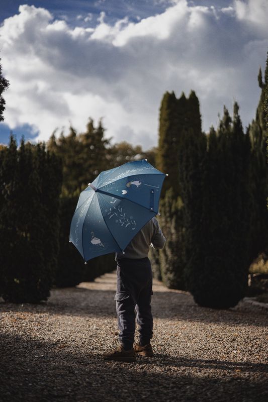 Regenschirm, Die fünf Geschichten
