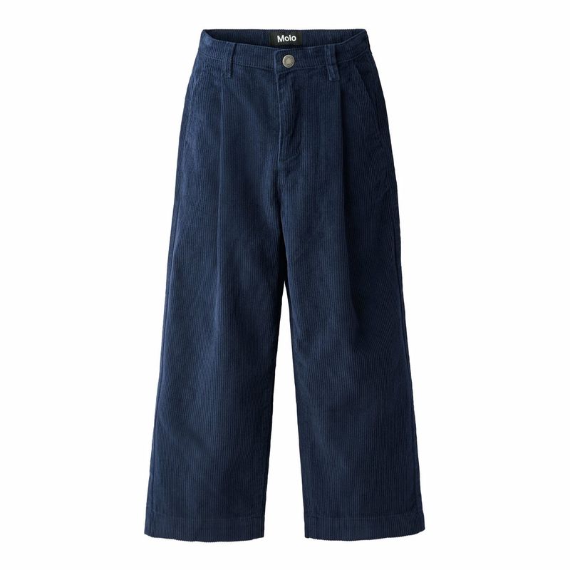 Alaine Galaxy Blue Cord Hose