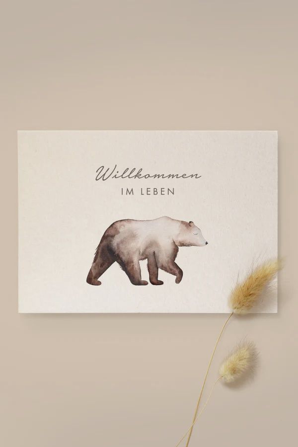 Karte Bär „Willkommen im Leben“ aus Holzschliffpappe