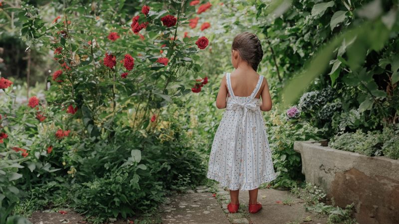 Polka Kleid