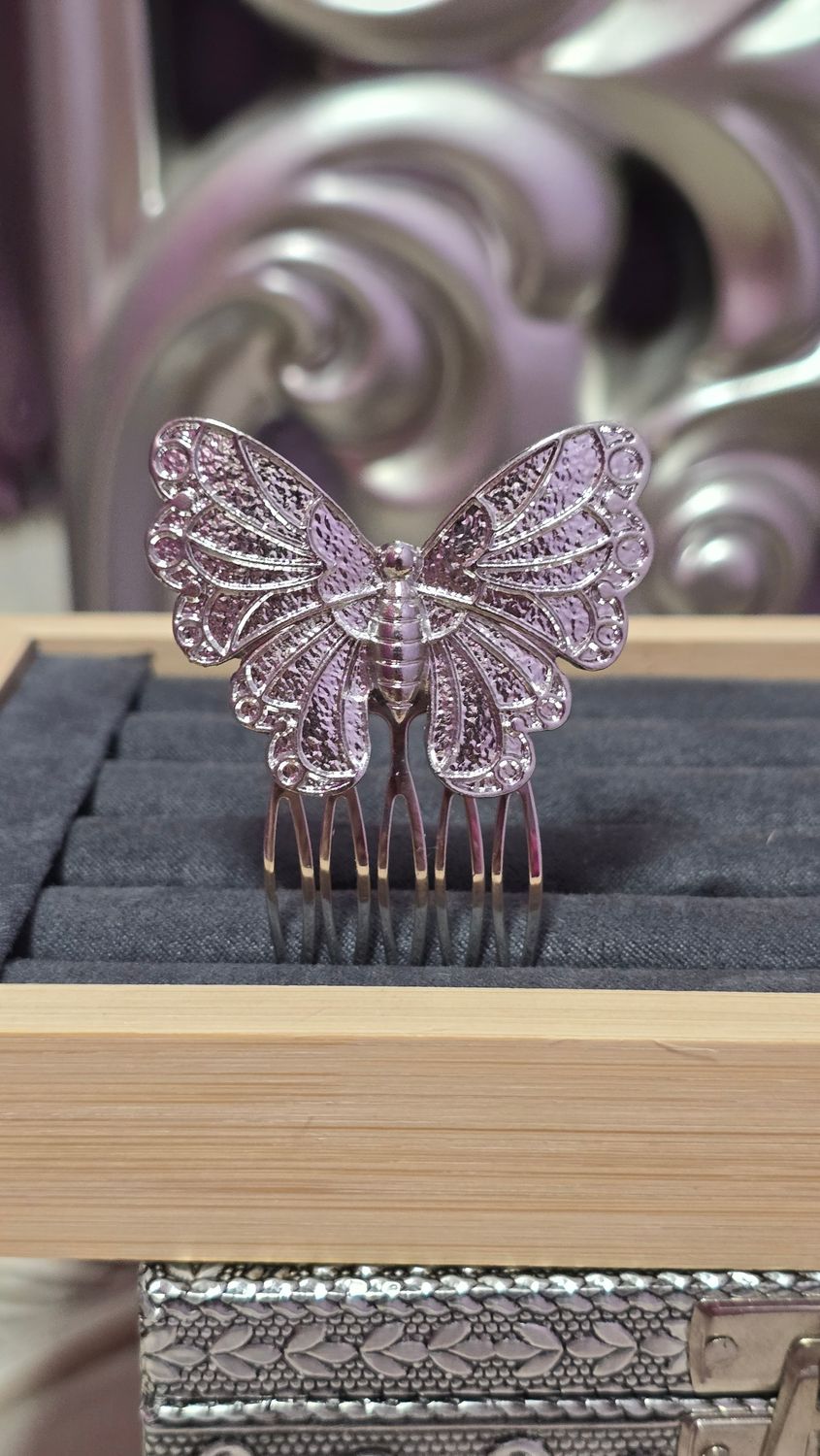 Peina una  mariposa plata