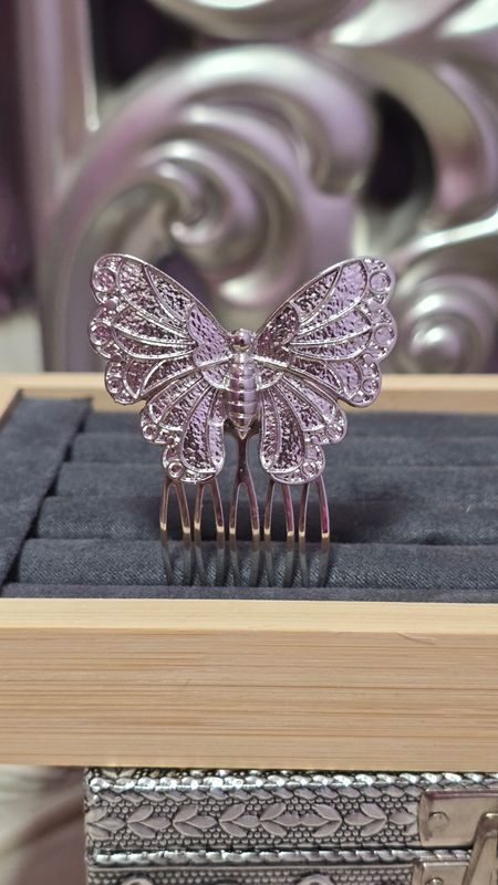 Peina una  mariposa plata