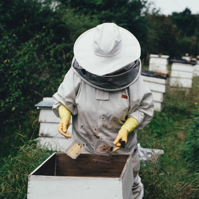 Beekeeping Books