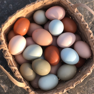 Chickens