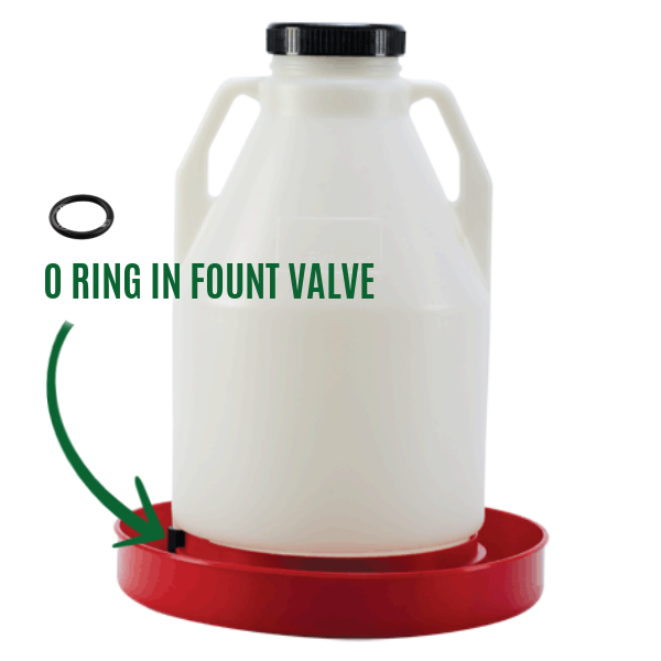 4 and 7 Gallon Top Fill Poultry Fount Replacement Parts, Replacement Part: Fount Closure &quot;O&quot; Ring