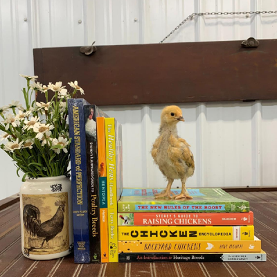 Books and Posters