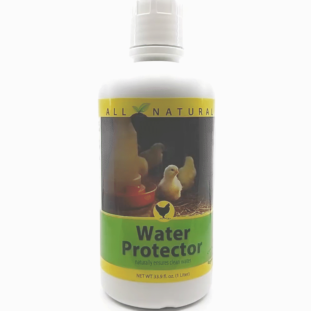 Poultry and Game Bird Water Protector, Size: 33.9-ounce