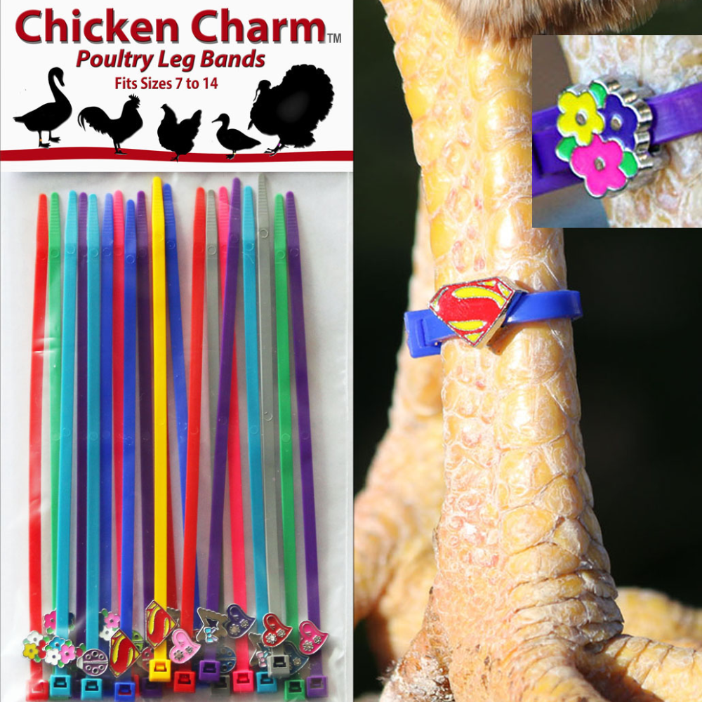 Chicken Charms, 20 Pack, Collection: Collection 1