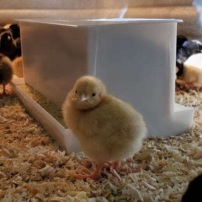 Plastic Game Bird Feeder