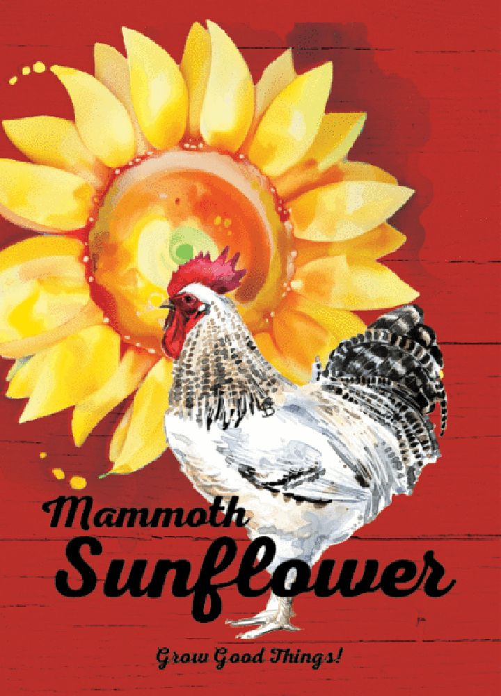 Bentley Seed Co Non-GMO Mammoth Sunflower Seed Packet, Packet Color: Red