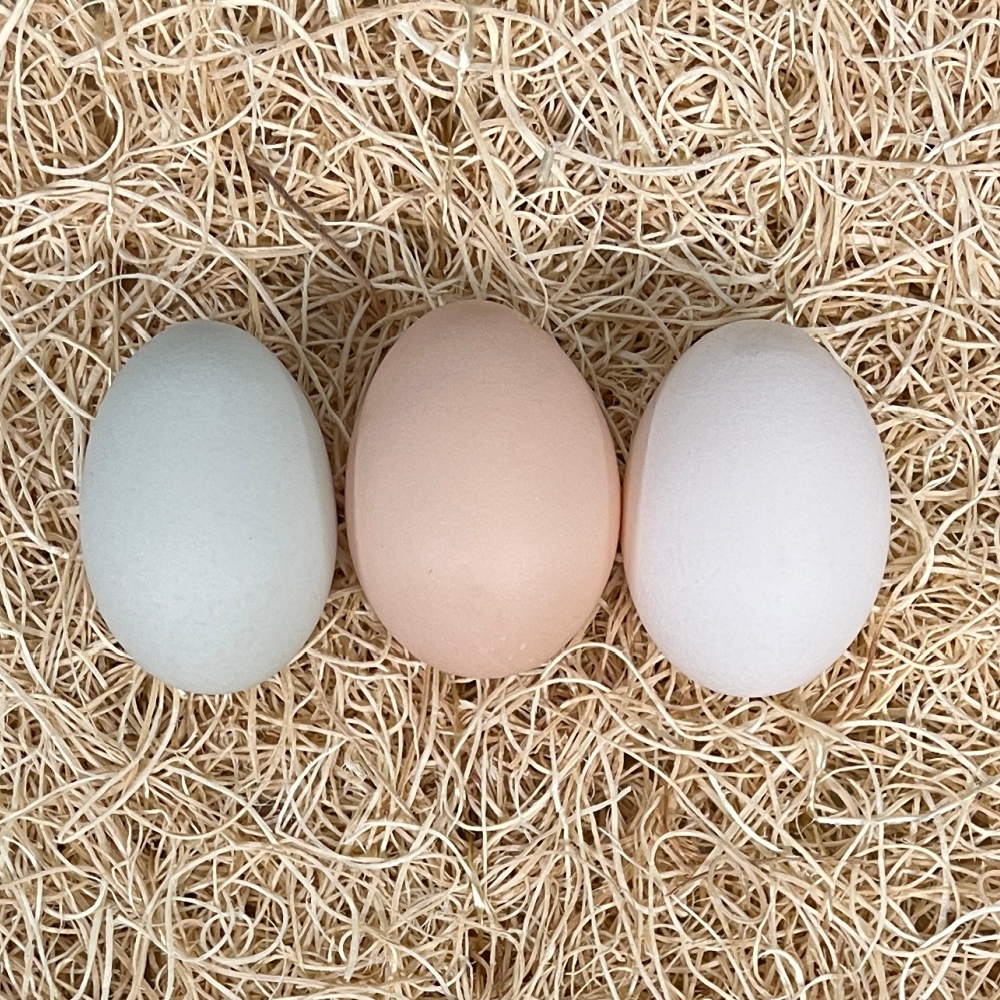 Green Queen Bantam Hatching Eggs