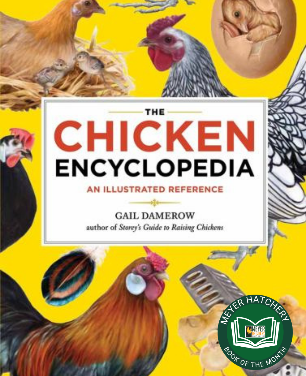 The Chicken Encyclopedia: An Illustrated Reference