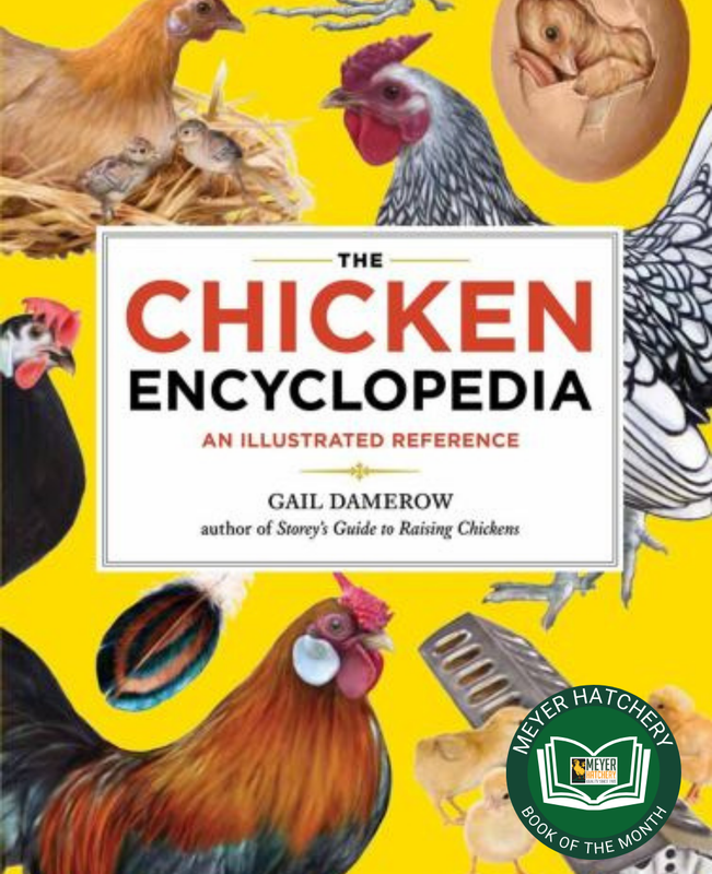 The Chicken Encyclopedia: An Illustrated Reference