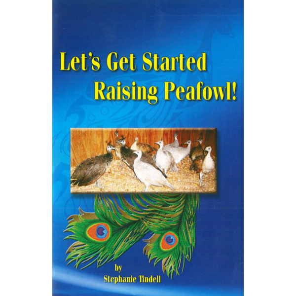 Let&#39;s Get Started Raising Peafowl