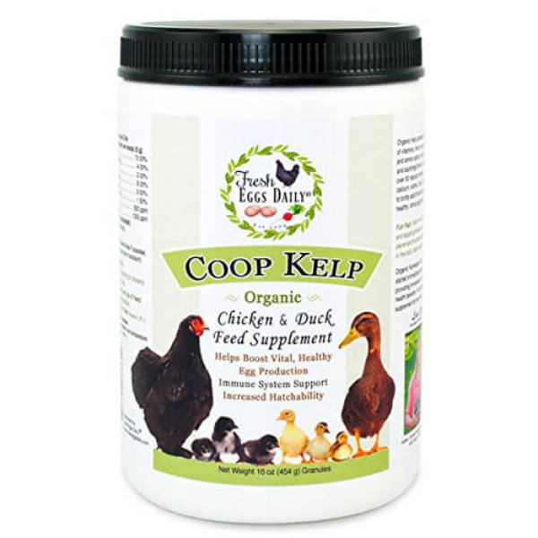 Fresh Eggs Daily Coop Kelp, 16-Ounce