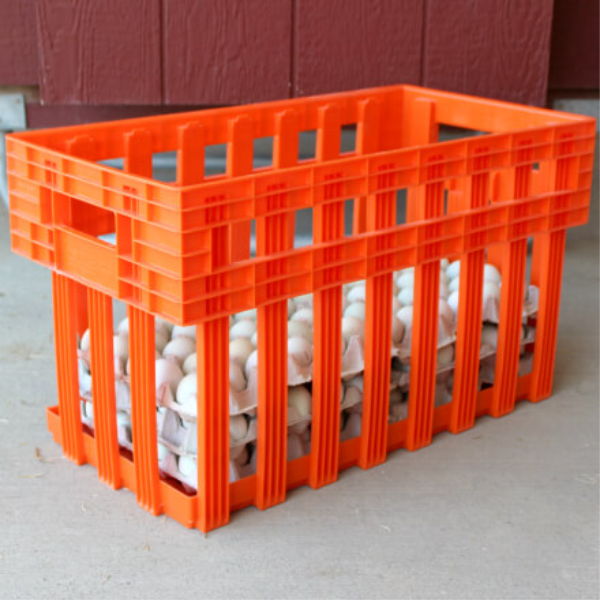30-Dozen Egg Crate