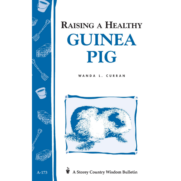 Raising a Healthy Guinea Pig