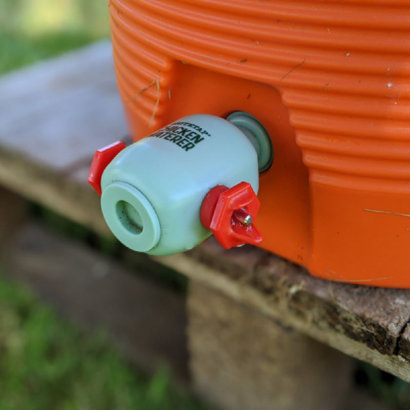 BriteTap Chicken Nipple Waterer
