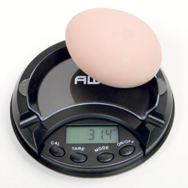 Digital Egg Scale