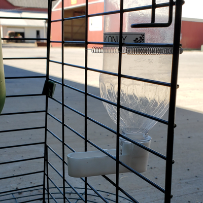 Pop Bottle Waterer with Attachment Spring