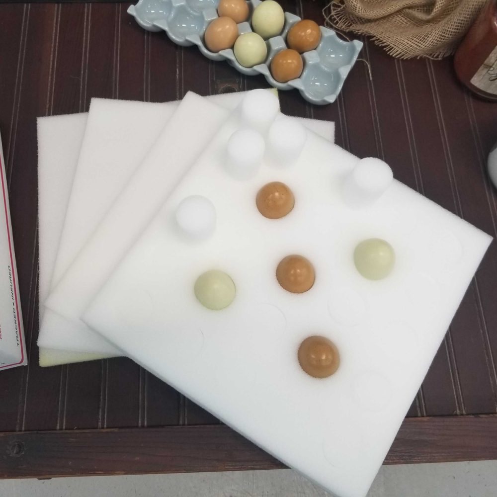 Egg Shipping Foam Kit