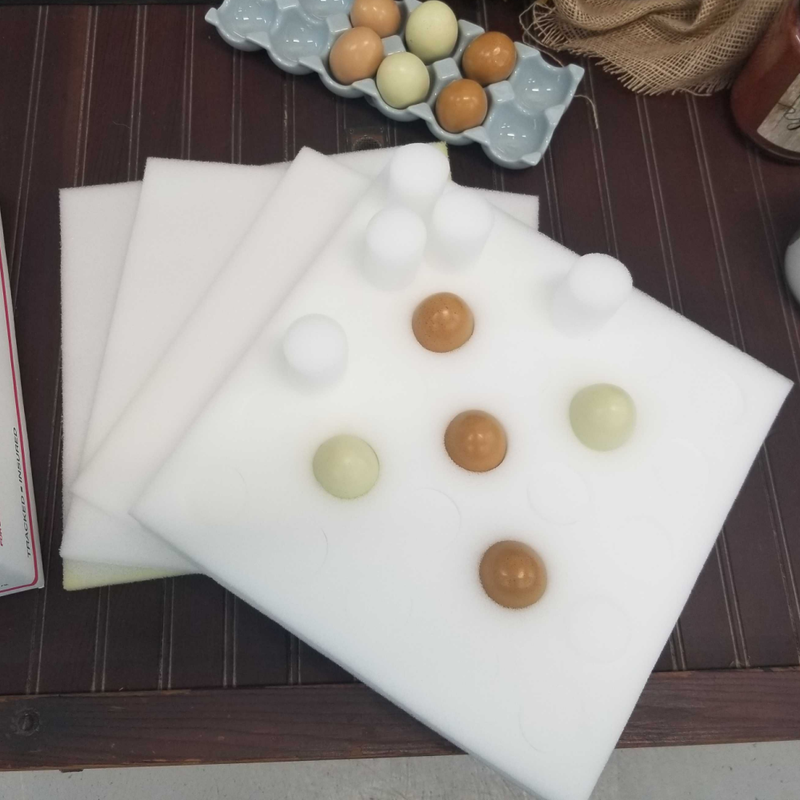 Egg Shipping Foam Kit