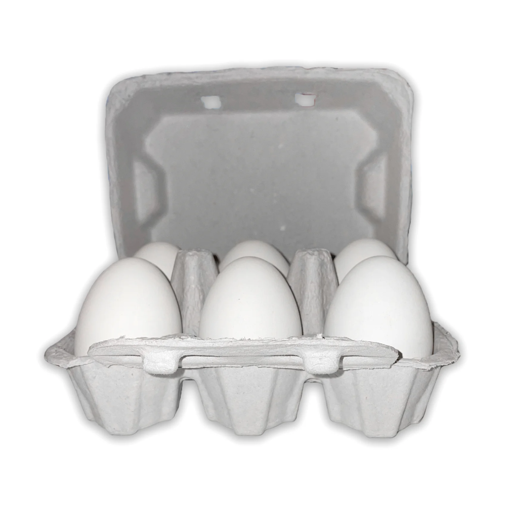 Vintage Duck 6-Egg Carton