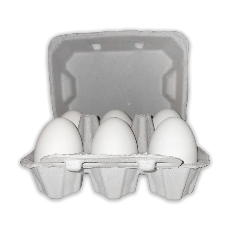 Vintage Duck 6-Egg Carton