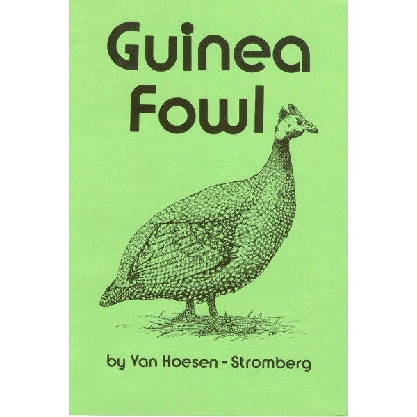 Guinea Fowl