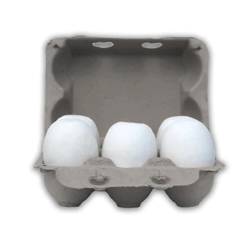 Vintage Goose 6-Egg Carton