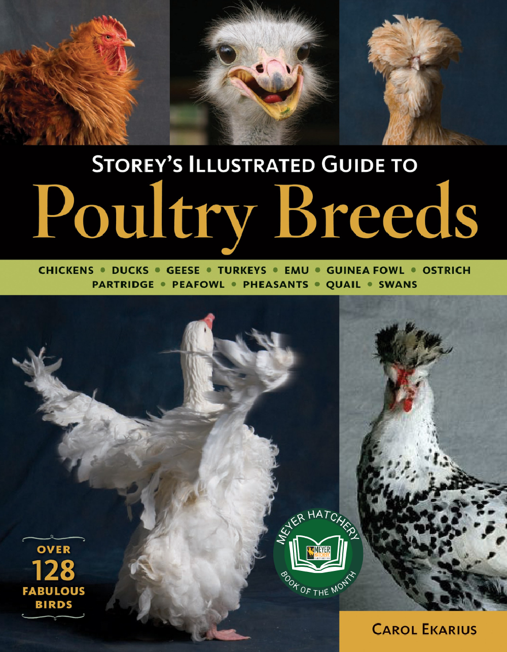Storey&#39;s Illustrated Guide to Poultry Breeds