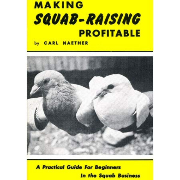 Making Squab Raising Profitable