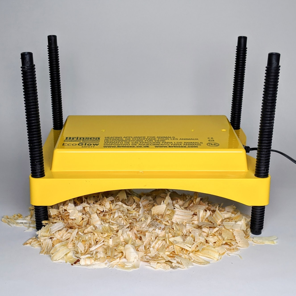 Brinsea EcoGlow Safety 600 Brooder Plate
