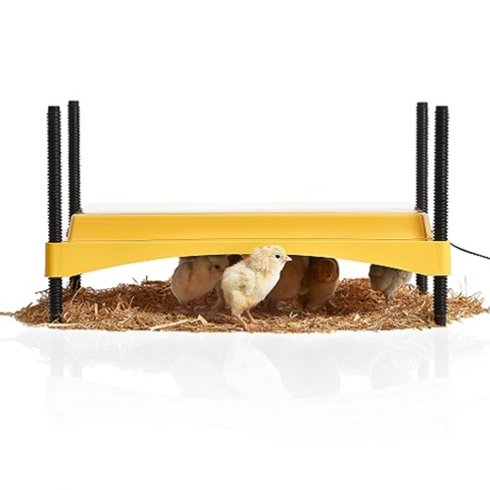 Brinsea EcoGlow Safety 1200 Chick Brooder Plate