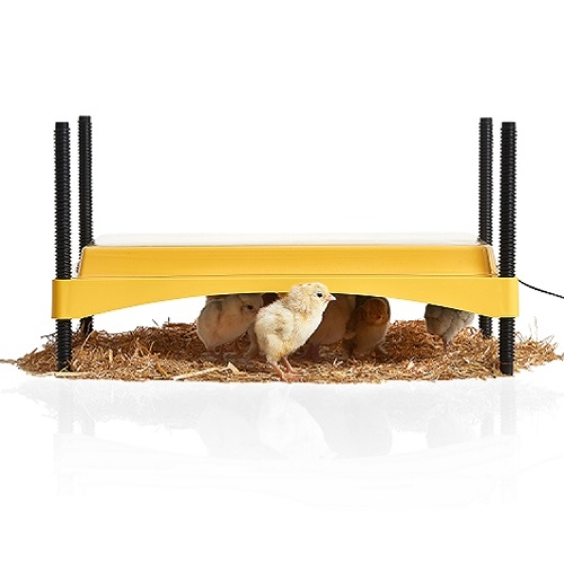 Brinsea EcoGlow Safety 1200 Chick Brooder Plate