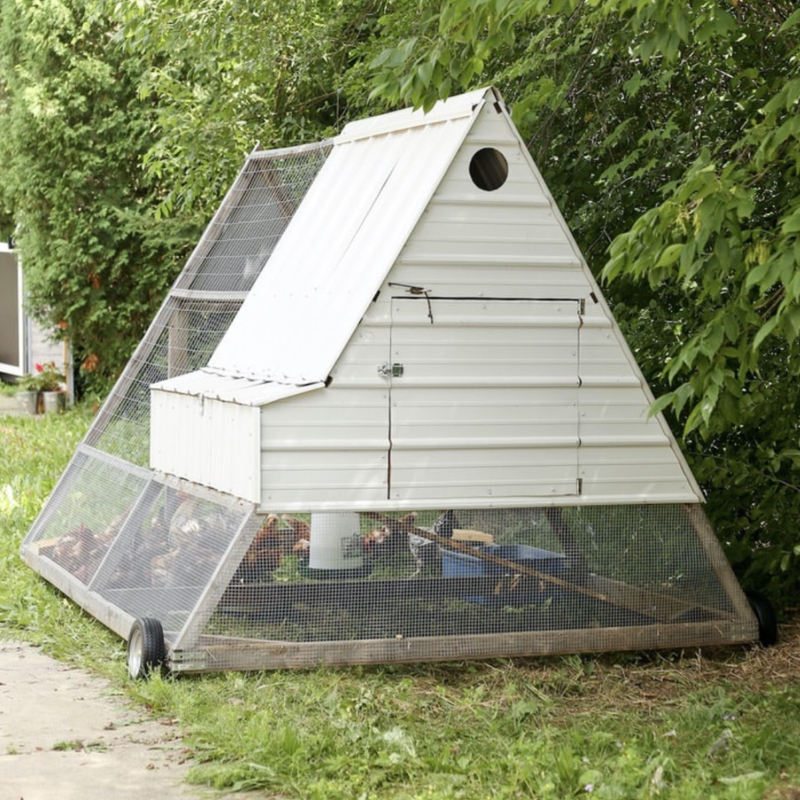 A-Frame Style Mini, Medium, and Mega Mobile Chicken Tractor Plans Bundle - Instant Download