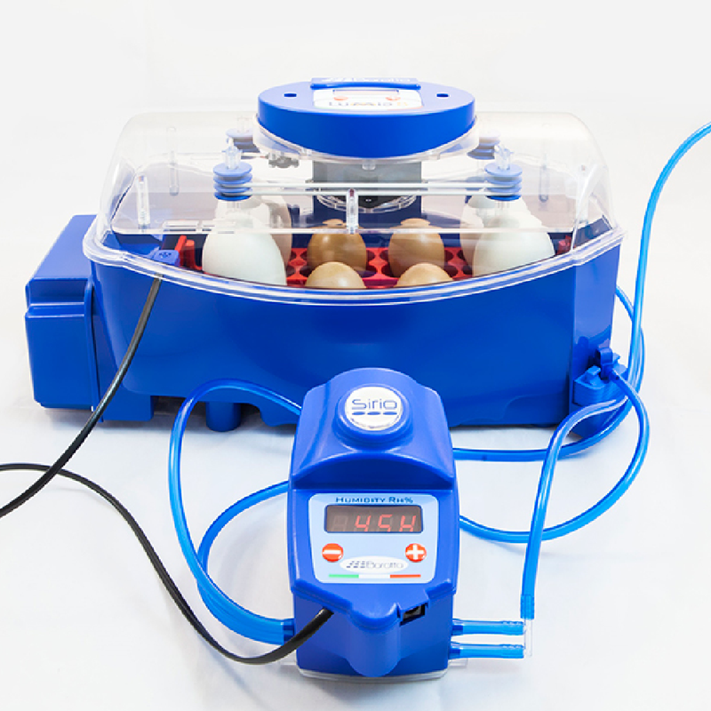Borotto Lumia 8 Egg Incubator with Humidity Pump