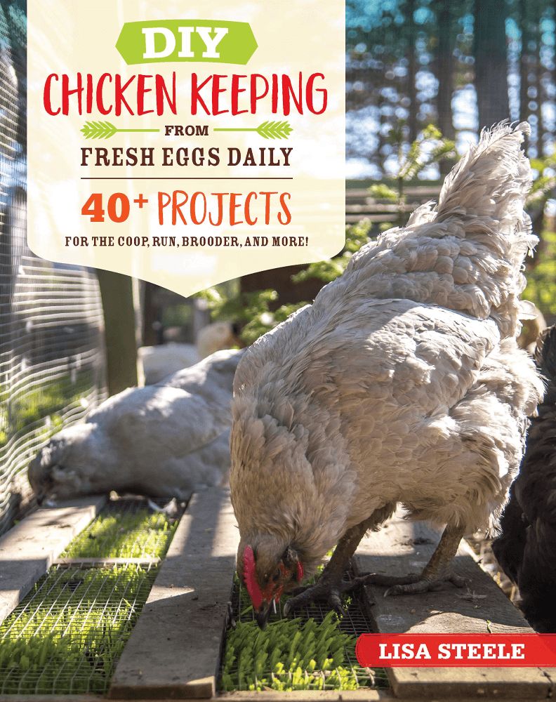 DIY Chicken Keeping by Lisa Steele