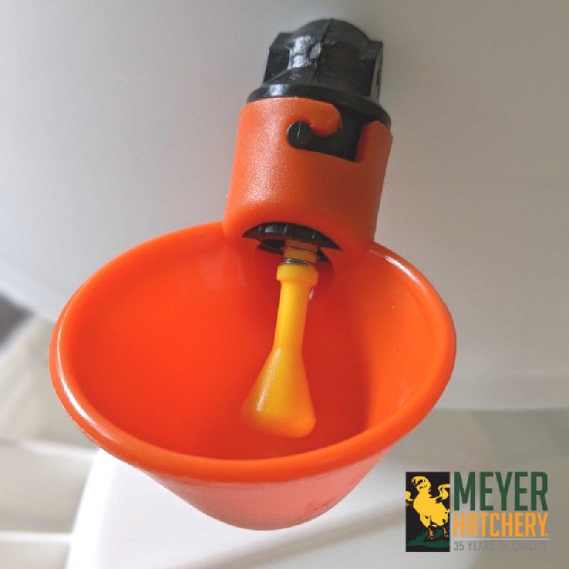 Plastic Poultry Watering Cups