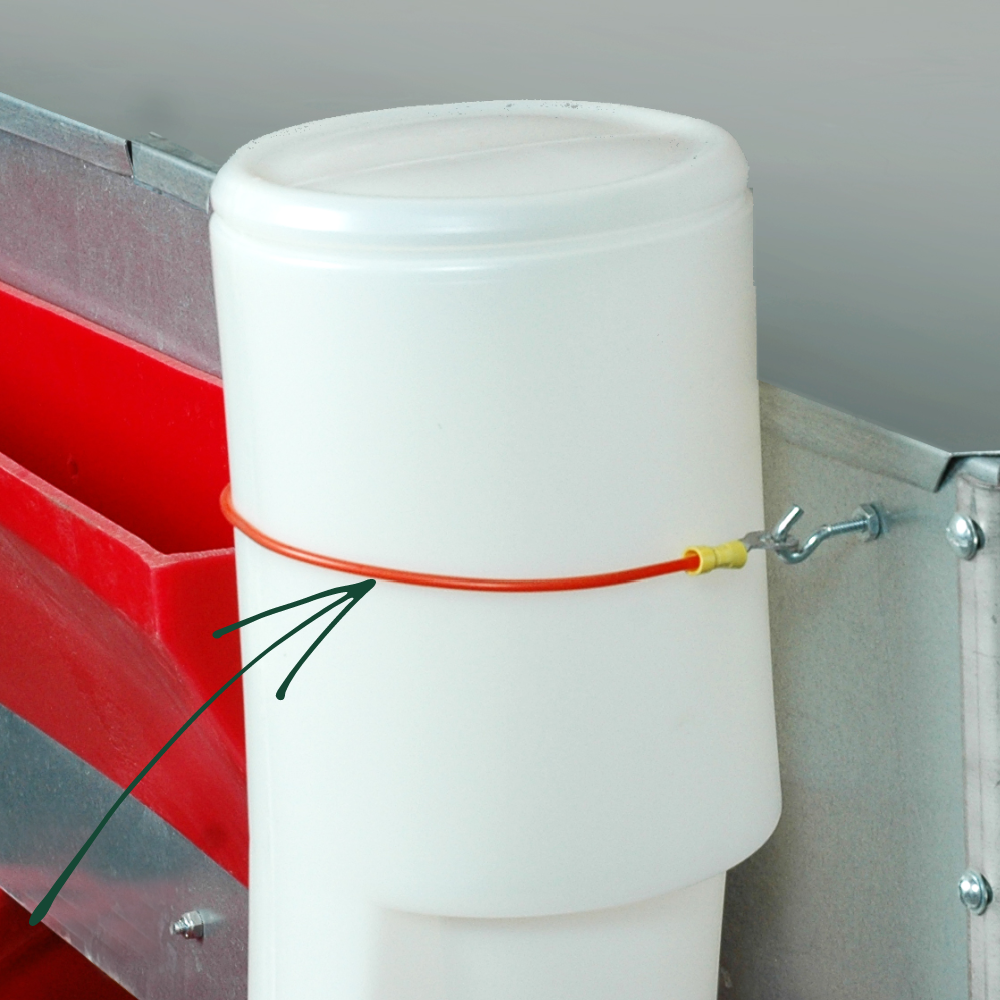 Water Strap for Brooder, Special Order