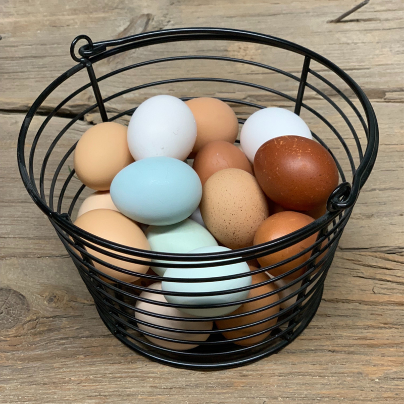 Coated Metal 3-Dozen Egg Basket