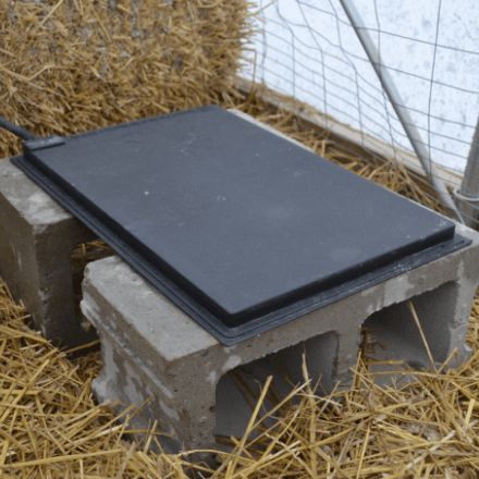 Farm Innovators Heated Chicken Mat