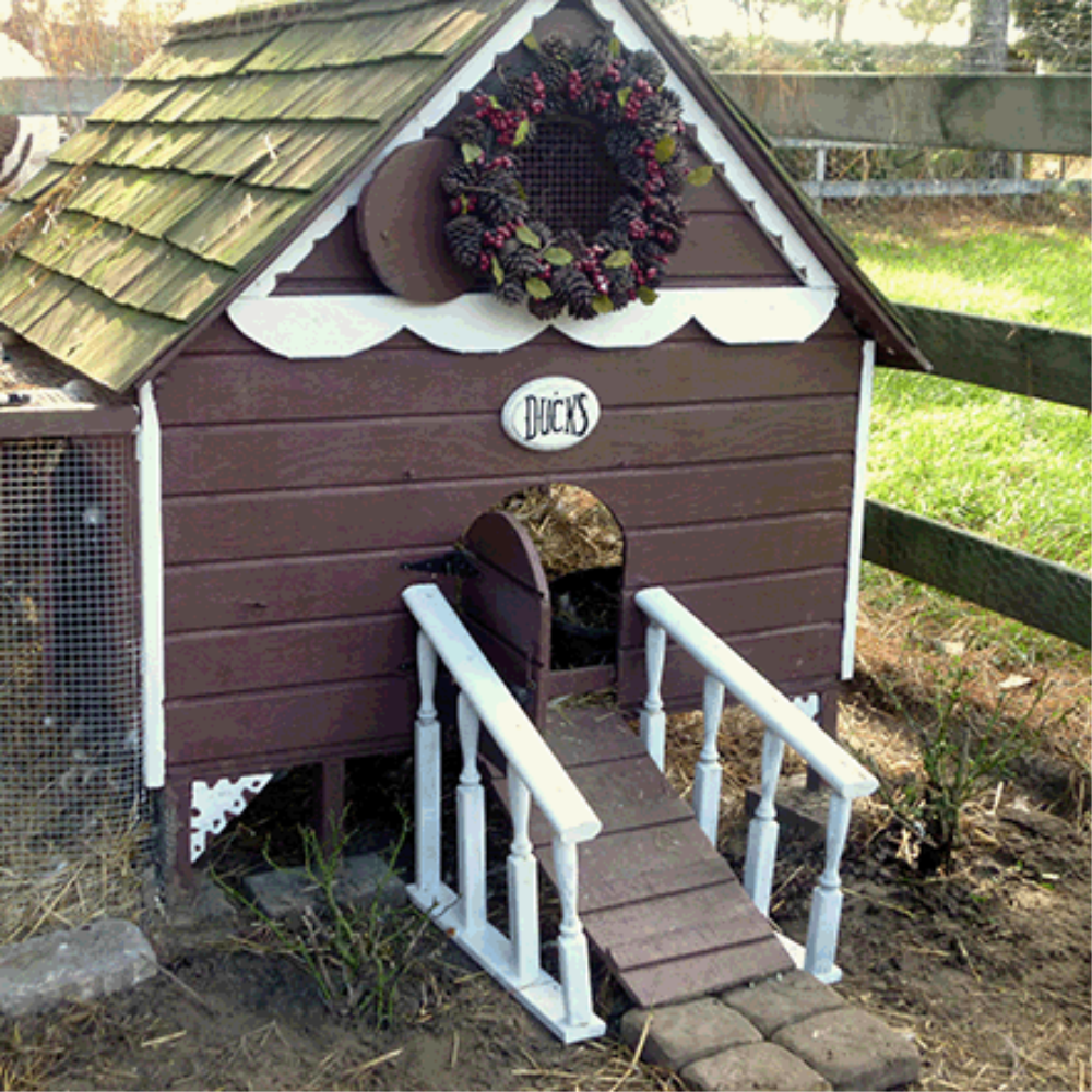 Gingerbread Duck House Building Plans - Instant Download