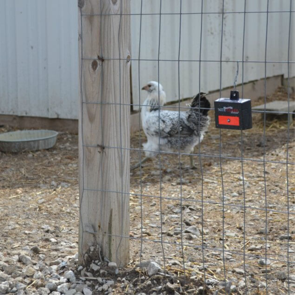 Nite Guard Solar-Powered Nocturnal Predator Control Light