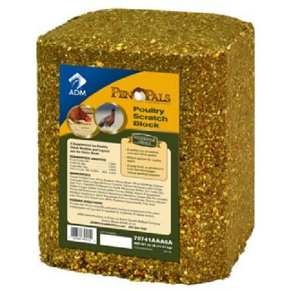 Pen Pals 25-Pound Scratch Block