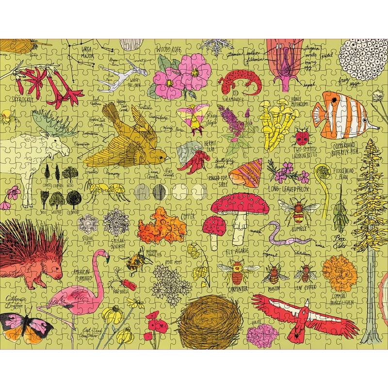 Nature Anatomy Puzzle