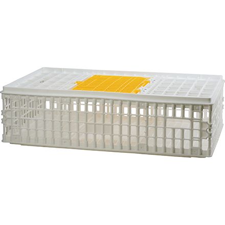 Poultry Crate (shipped knocked down)