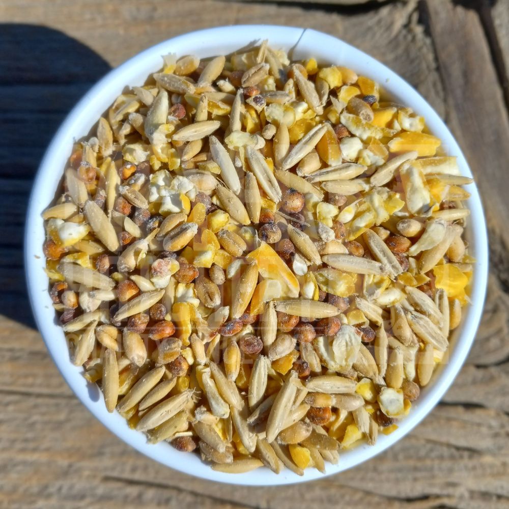 Meyer Hatchery Scratch Grains