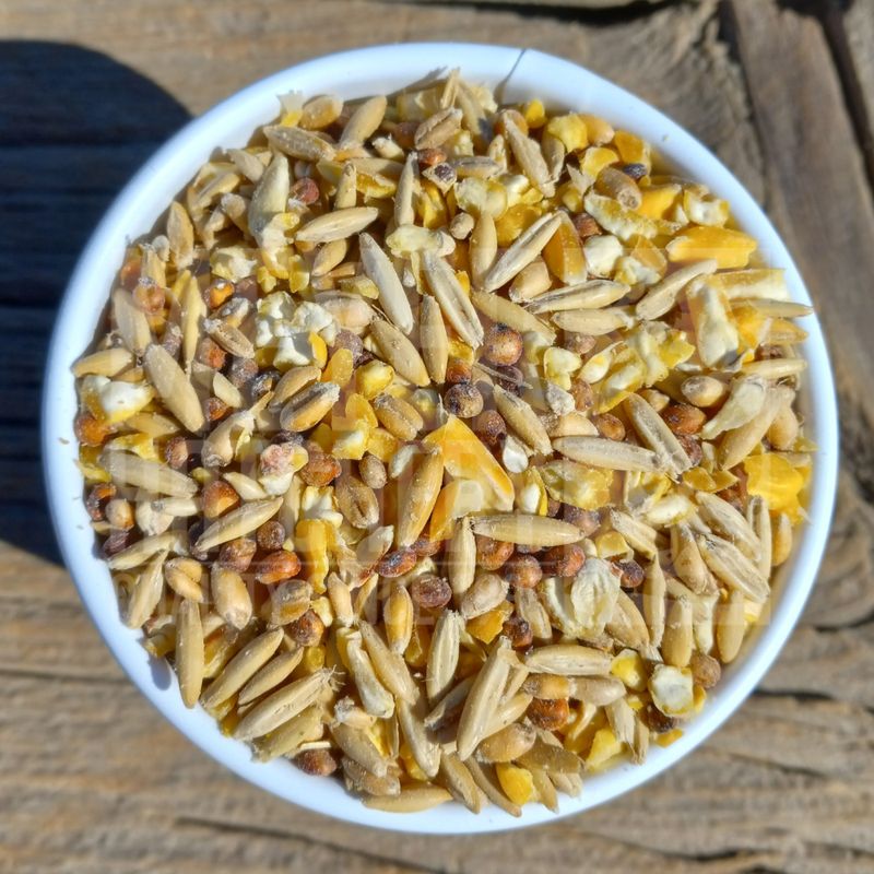 Meyer Hatchery Scratch Grains