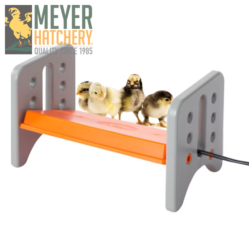 K&amp;H Thermo Poultry Brooder